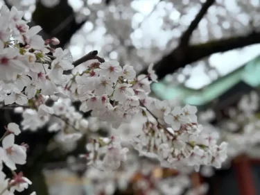 頭が良い子ほど自信がない