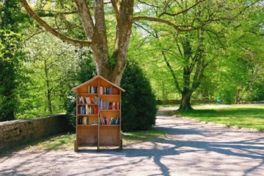夏休みの子どもの居場所、国が学校や図書館の開放を要請